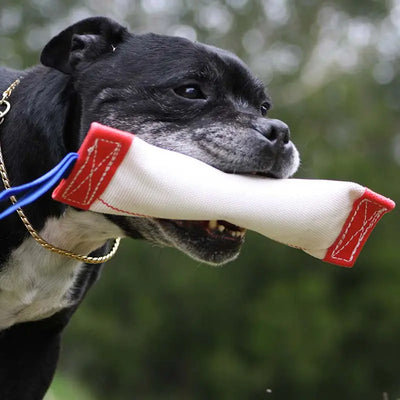 Aussie Dog Fetch It Small Durable Floating Dog Toy for Interactive Play