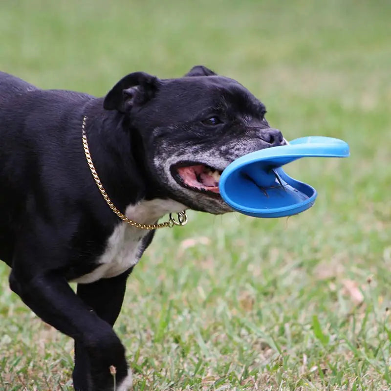 Durable Aussie Dog Blue 'Fly It' Disc for Active Canines, Chew-Resistant Fun