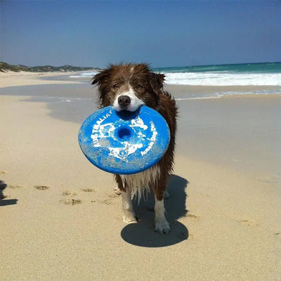 Durable Aussie Dog Blue 'Fly It' Disc for Active Canines, Chew-Resistant Fun