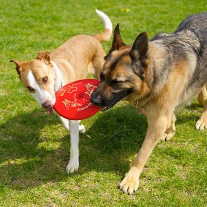 Ultimate Red Dog Flying Disc Toy: Durable, Chew-Resistant, Fun for Fetch