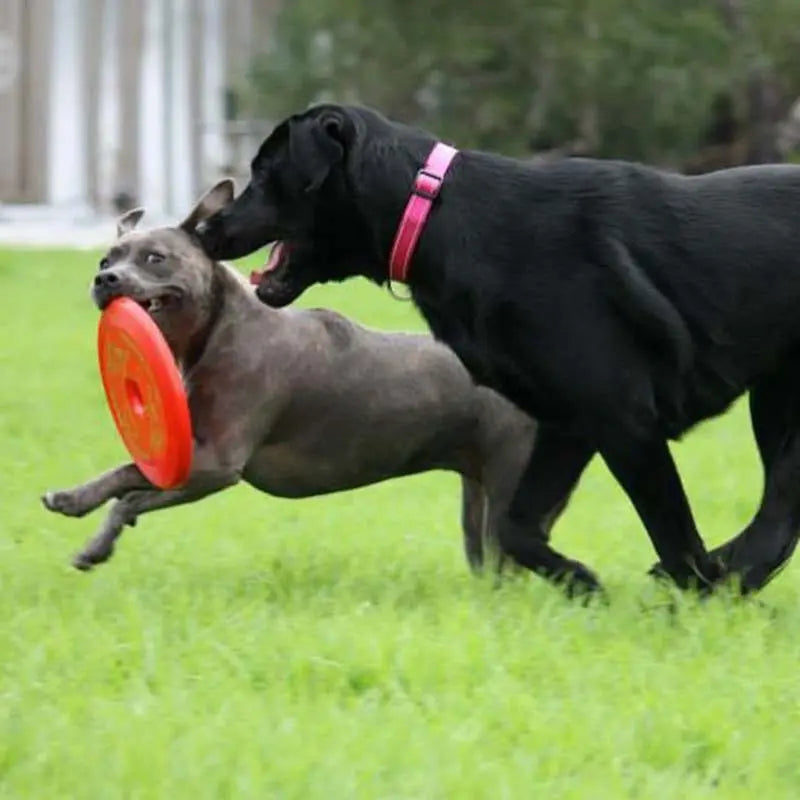 Ultimate Red Dog Flying Disc Toy: Durable, Chew-Resistant, Fun for Fetch