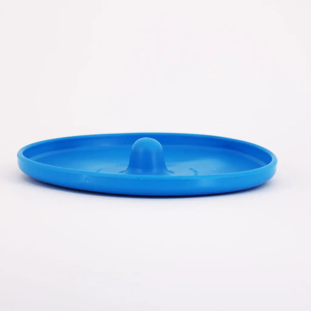 Durable Aussie Dog Blue 'Fly It' Disc for Active Canines, Chew-Resistant Fun
