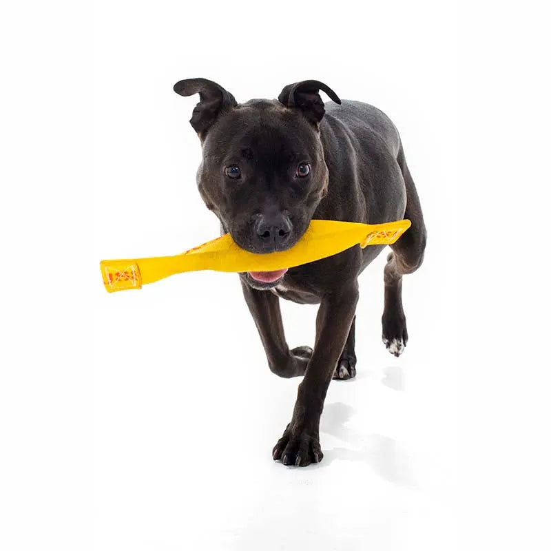 Ultimate Chew-Resistant Large Dog Toy: Durable, Safe, and Engaging Fetch Fun