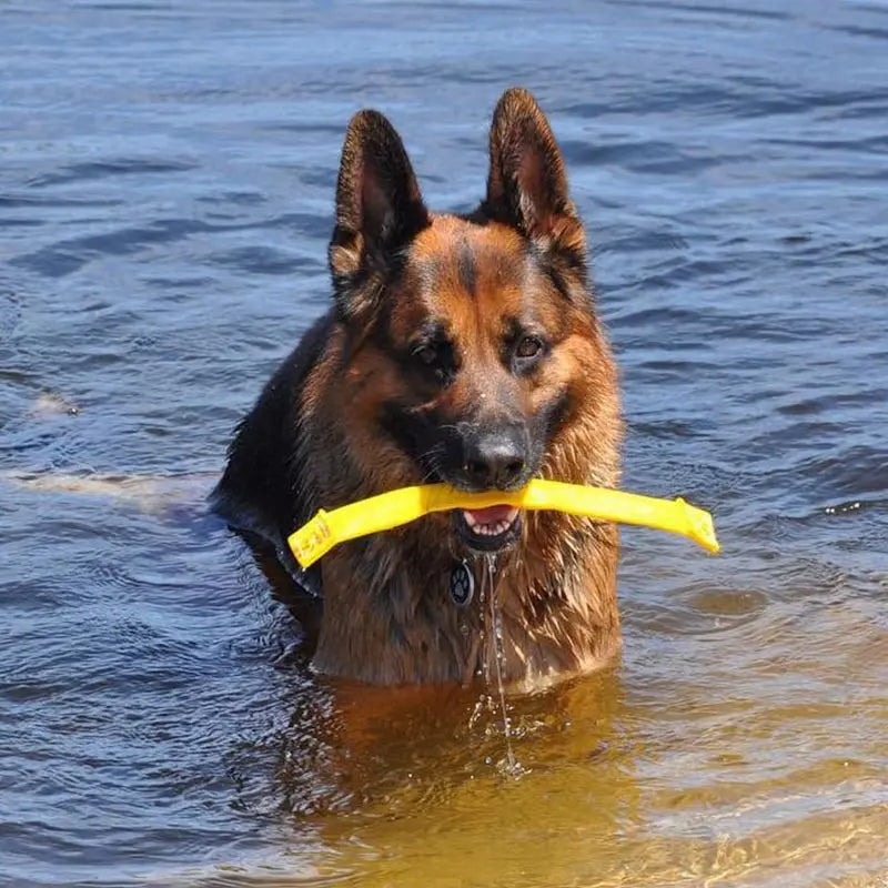Ultimate Durable Chew Toy for Small Dogs: Interactive Aussie Dog Get-It