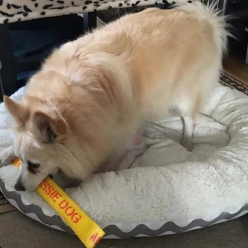 Ultimate Durable Chew Toy for Small Dogs: Interactive Aussie Dog Get-It