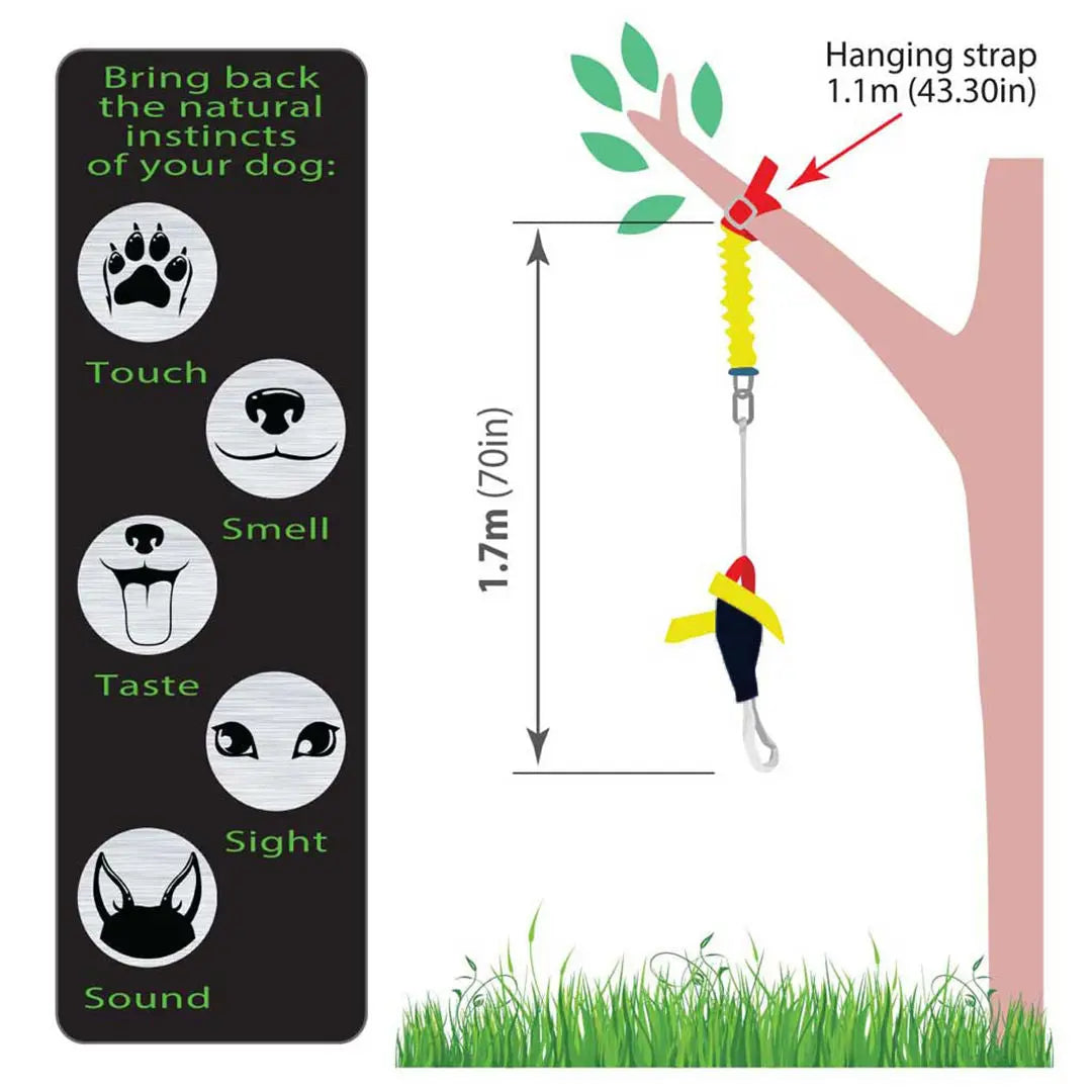 Heavy Duty Bungee Chook Dog Toy: Indestructible Tug Play for Large Breeds