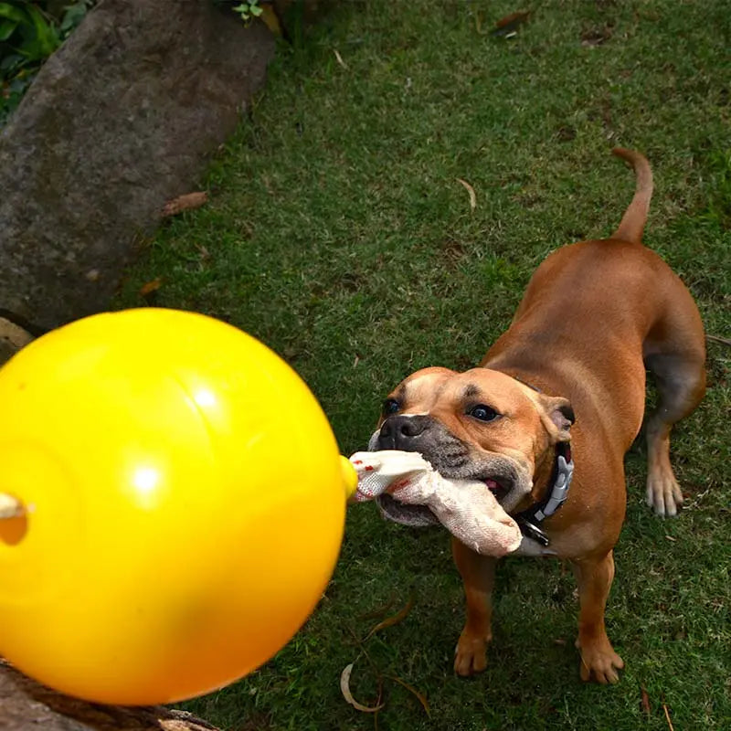 Ultimate Durable Home Alone Dog Toy, Large, for Active Chewers
