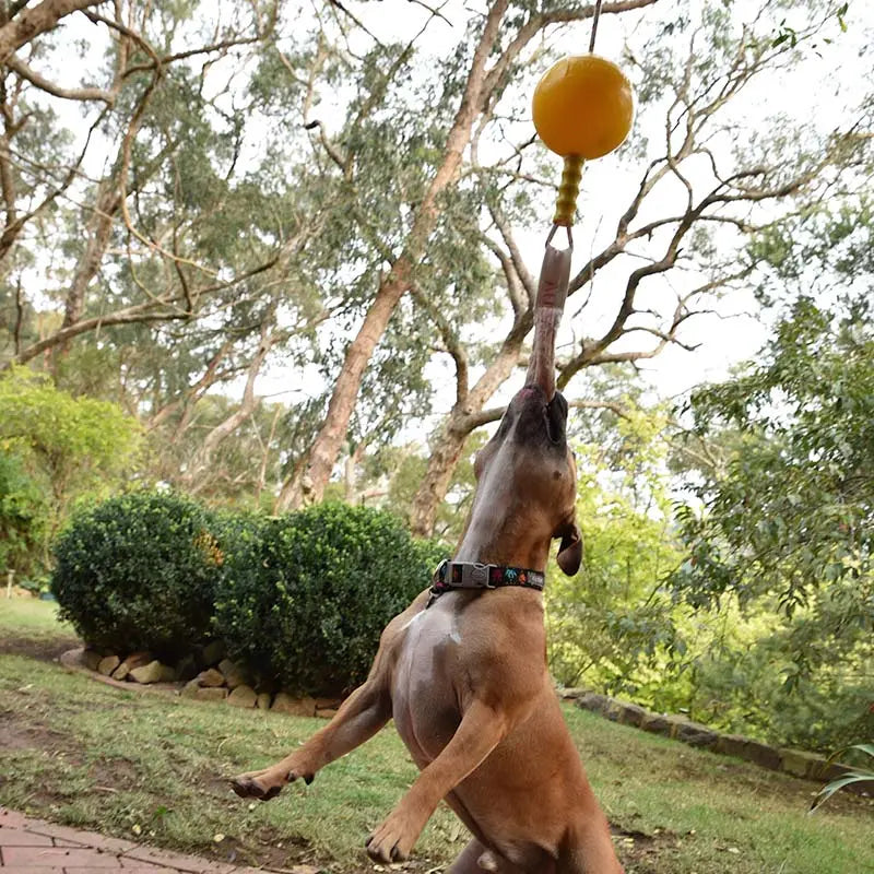 Aussie Dog Home Alone Medium Interactive Toy for Dogs - Durable & Engaging