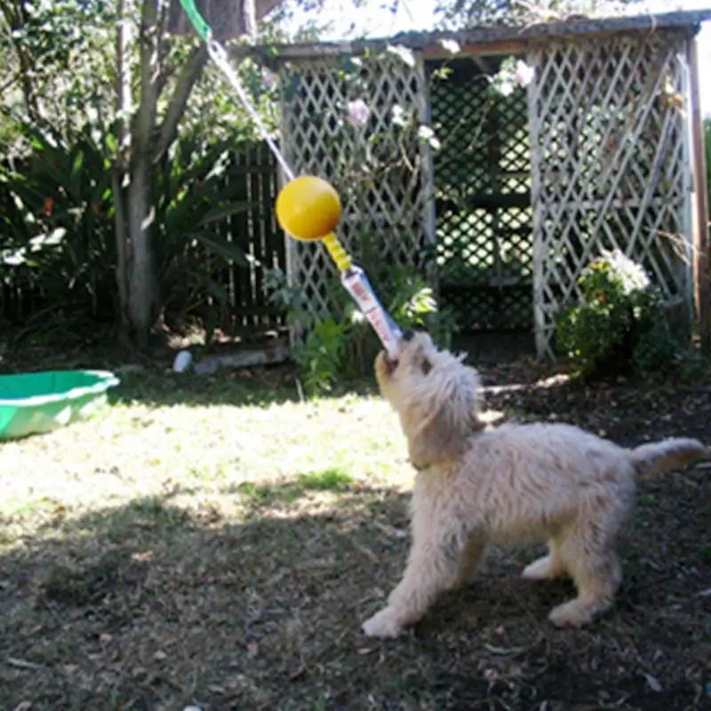 Aussie Dog Home Alone Small Interactive Play Toy for Solo Dogs