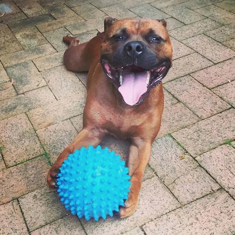Aussie Dog Indestructible Large Blue Mitch Ball for Powerful Chewers