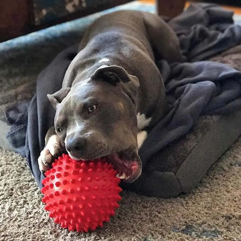 Ultimate Indestructible Red Mitch Ball for Dogs: Chew-Resistant, Durable Play