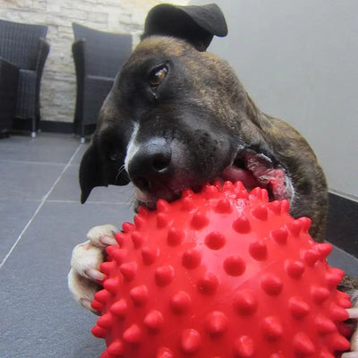Ultimate Indestructible Red Mitch Ball for Dogs: Chew-Resistant, Durable Play