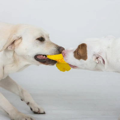 Ultimate Large Dog Tug Toy for Strong Chewers & Interactive Play