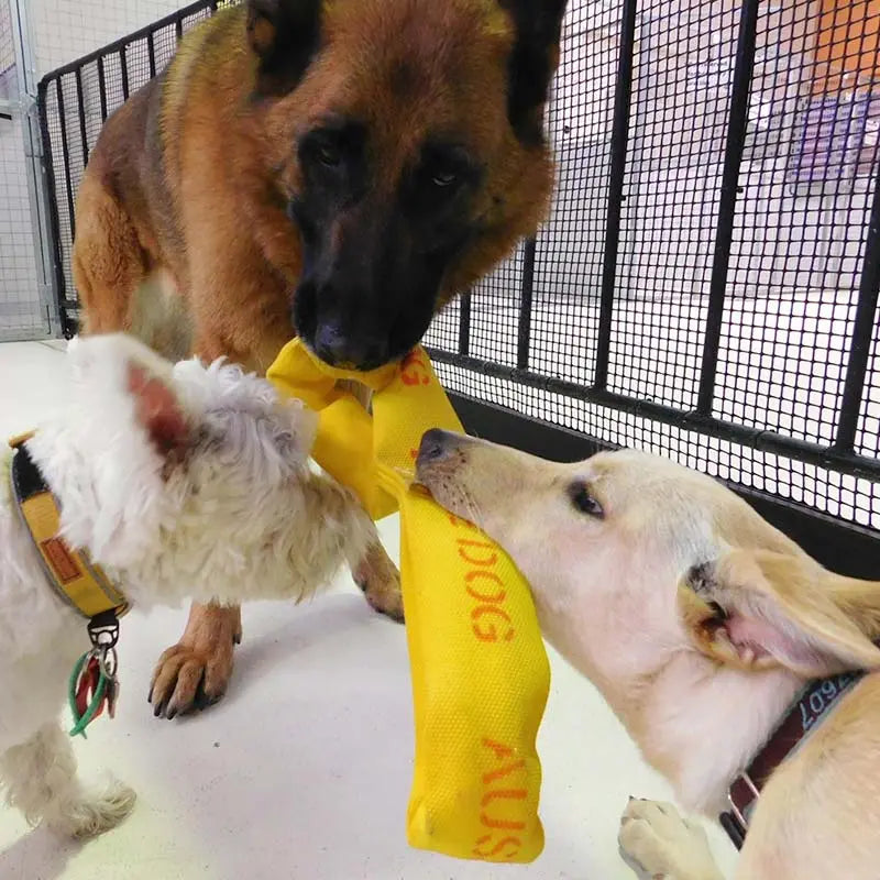 Ultimate Large Dog Tug Toy for Strong Chewers & Interactive Play