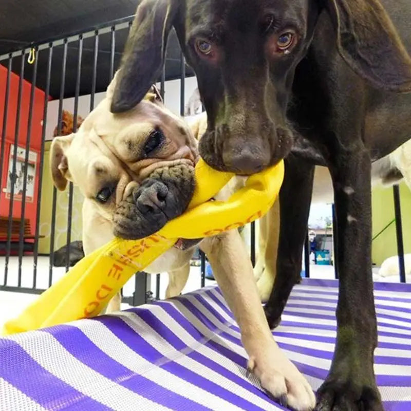 Ultimate Large Dog Tug Toy for Strong Chewers & Interactive Play