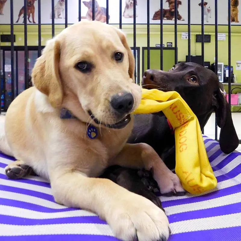 Ultimate Large Dog Tug Toy for Strong Chewers & Interactive Play