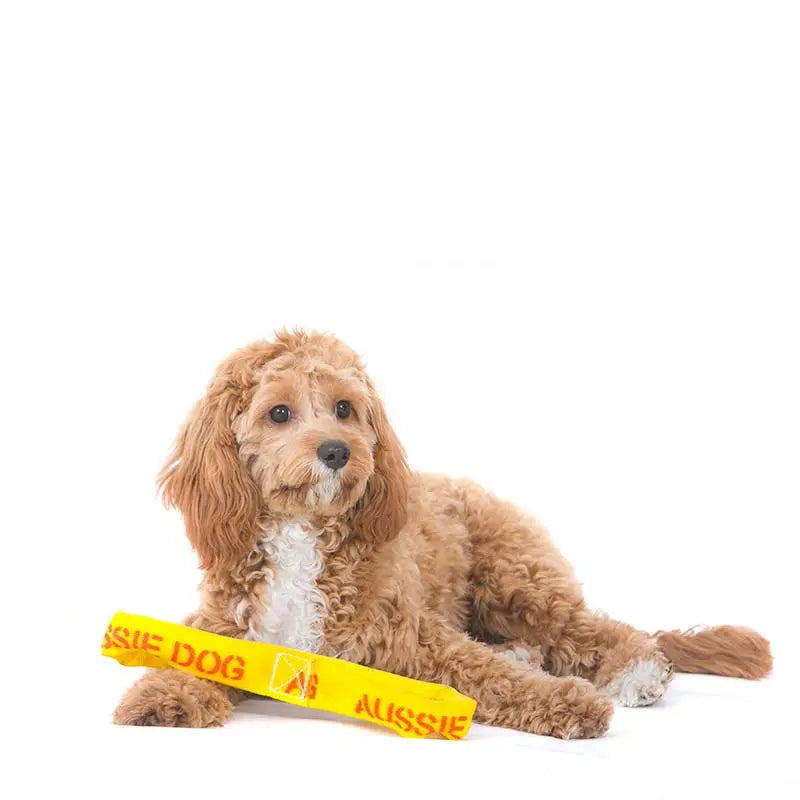 Durable Aussie Dog Tug Toy for Small Dogs - Interactive Fetch and Pull Play