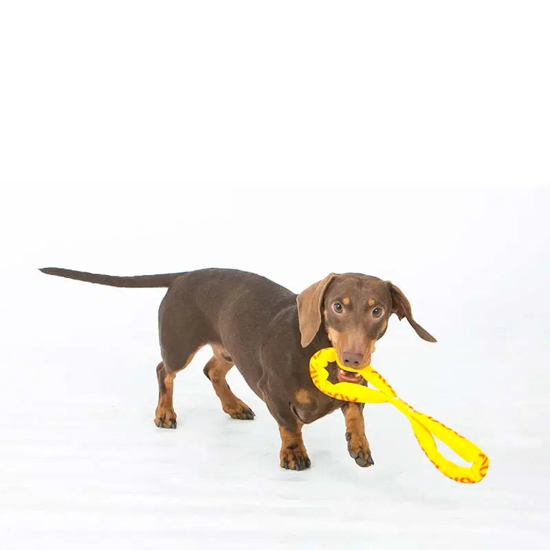 Durable Aussie Dog Tug Toy for Small Dogs - Interactive Fetch and Pull Play