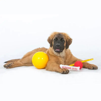 Aussie Dog Large Puppy Pack: Durable Chew Toys for Big Dog Breeds