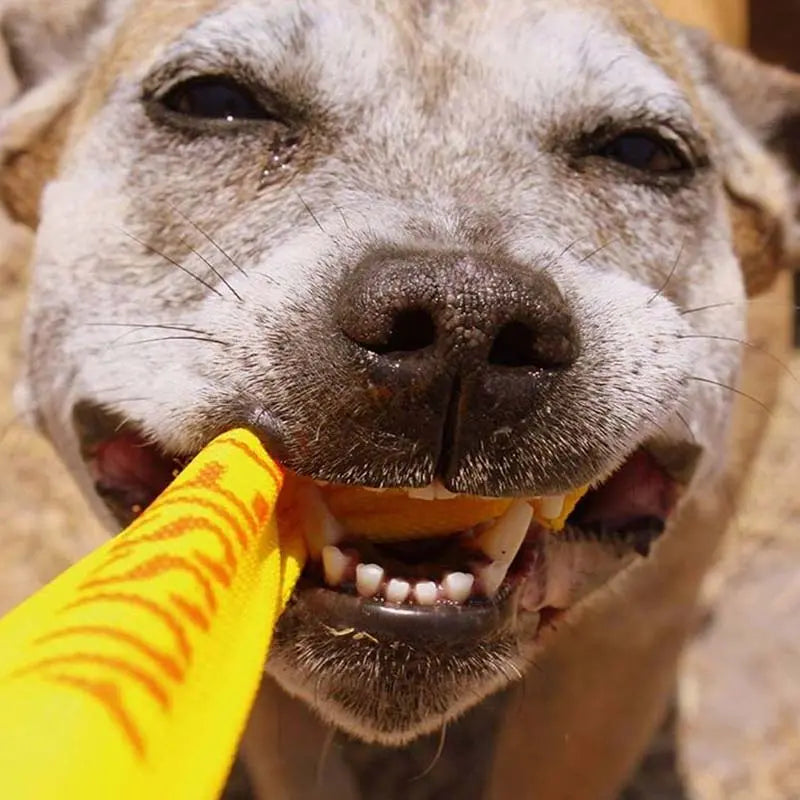 Ultimate Puppy Pack for Medium Dogs: Durable Chew Toys & Training Essentials
