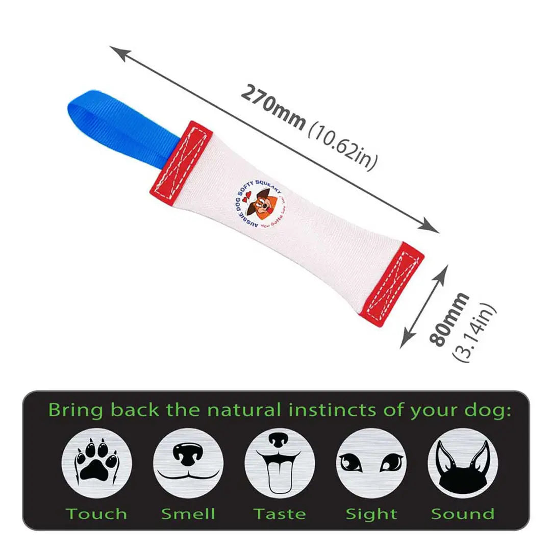 Aussie Dog Fetch It Small Durable Floating Dog Toy for Interactive Play