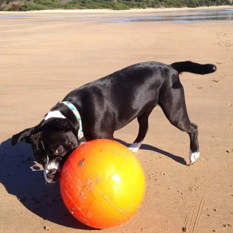 Ultra-Durable Staffie Dog Ball: Indestructible Chew Toy for Powerful Breeds