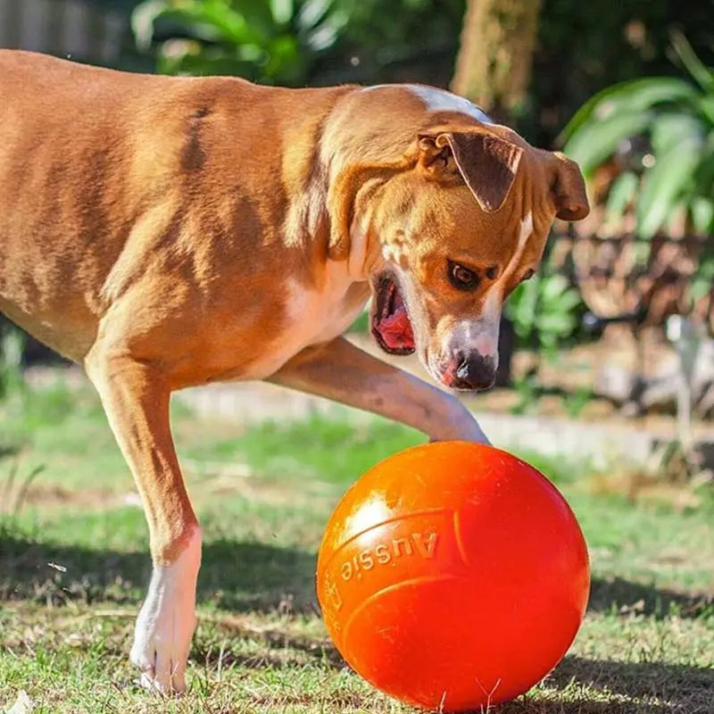 Ultra-Durable Staffie Dog Ball: Indestructible Chew Toy for Powerful Breeds