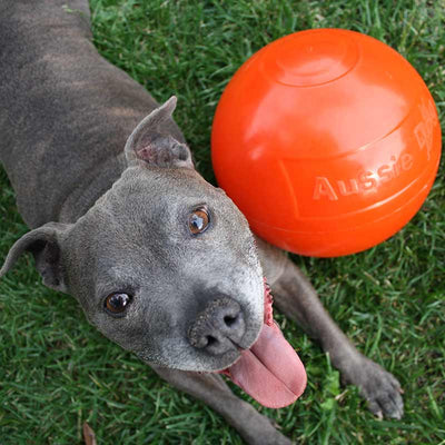 Ultra-Durable Staffie Dog Ball: Indestructible Chew Toy for Powerful Breeds