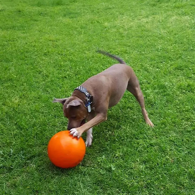 Ultra-Durable Staffie Dog Ball: Indestructible Chew Toy for Powerful Breeds