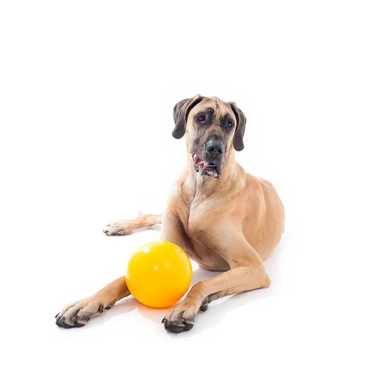 Aussie Dog Tucker Ball Large: Durable Treat Dispensing Dog Toy for Large Breeds