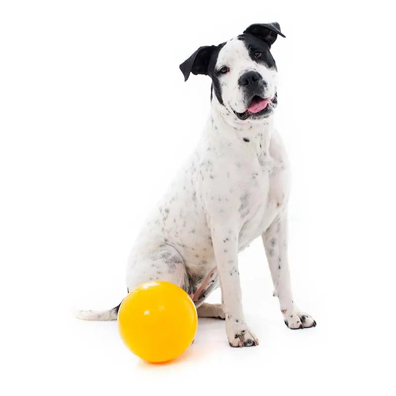 Aussie Dog Tucker Ball Large: Durable Treat Dispensing Dog Toy for Large Breeds