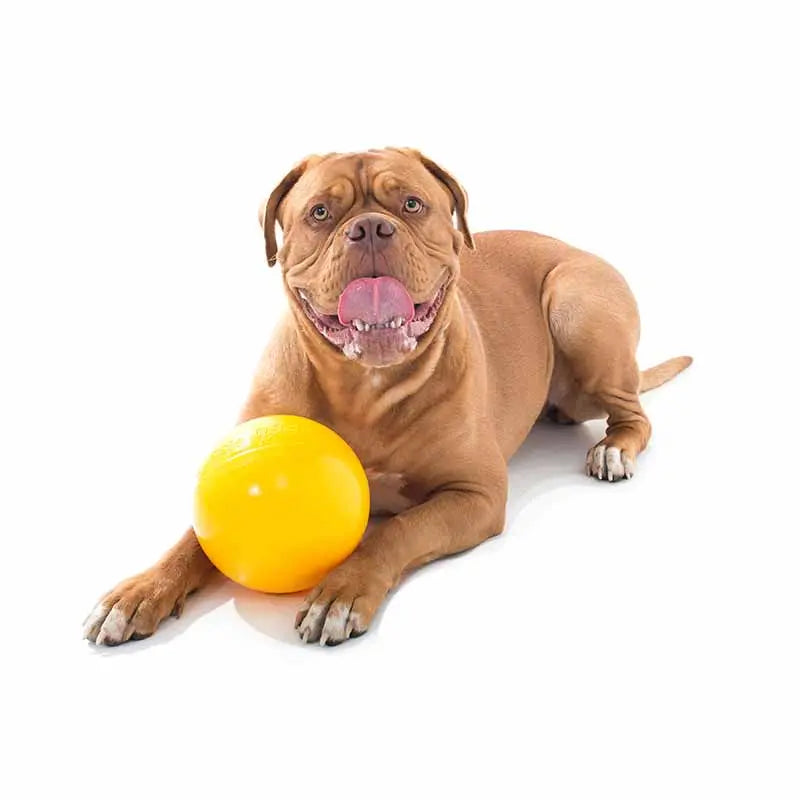 Medium Aussie Dog Tucker Ball Reward Toy for Engaging Play