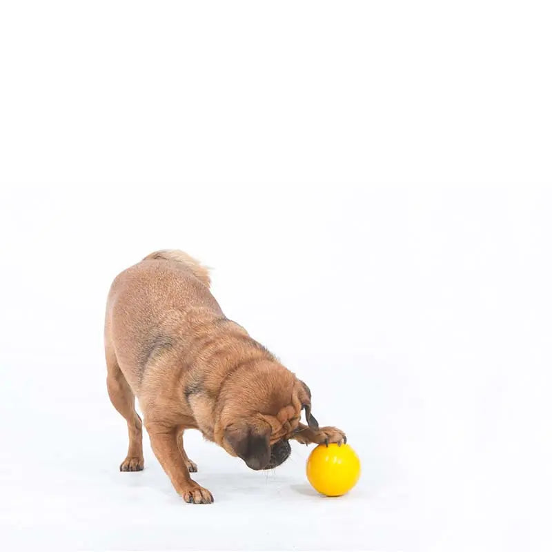 Aussie Dog Mini Tucker Ball: Durable, Treat Dispensing, Interactive Dog Toy