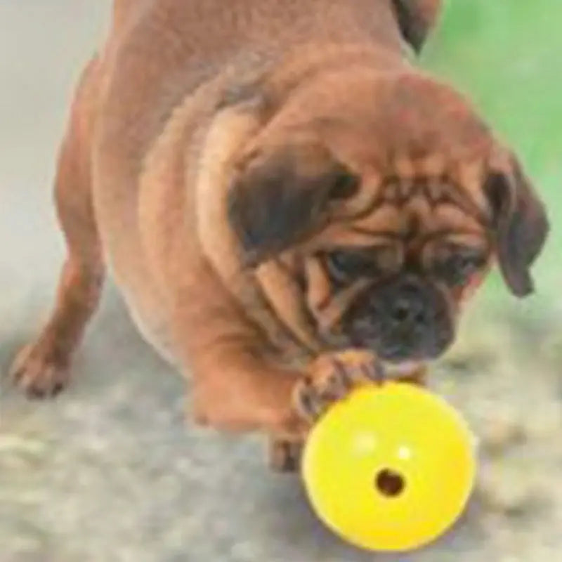 Aussie Dog Mini Tucker Ball: Durable, Treat Dispensing, Interactive Dog Toy