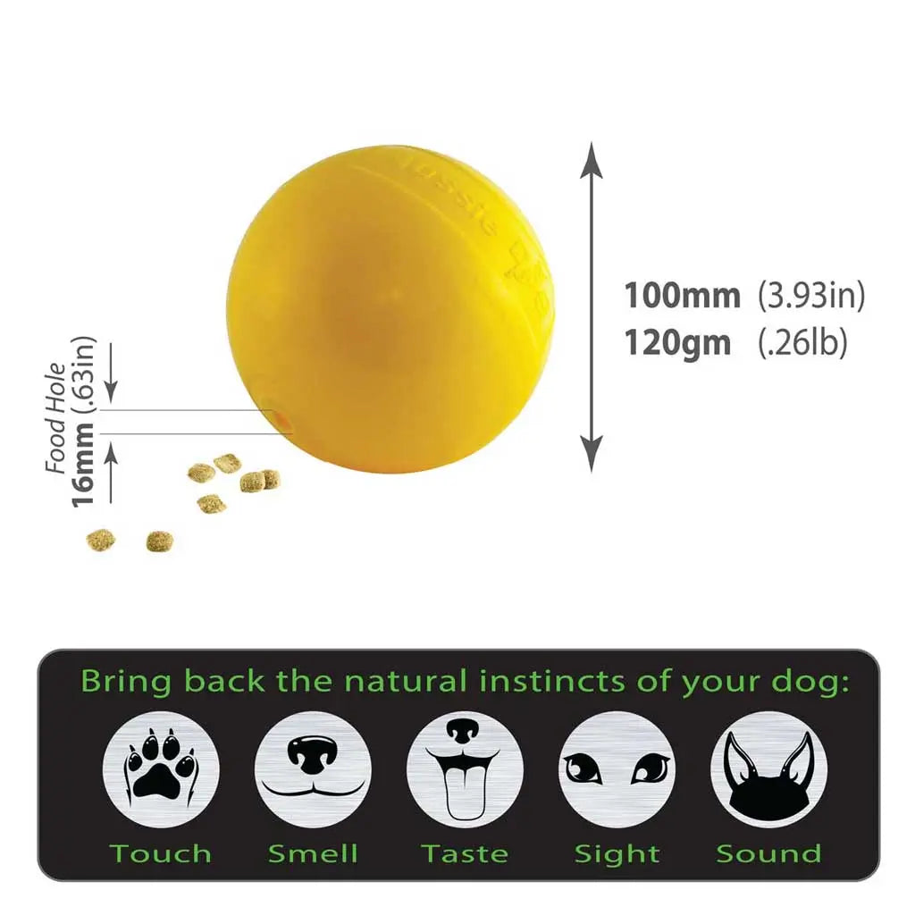 Ultimate Small Dog Tucker Ball: Durable Chew Toy for Interactive Play & Treats