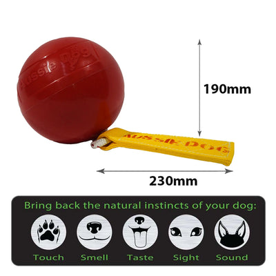 Aussie Dog Mini Horse Ball: Durable, Safe, and Engaging Play Toy for Equines