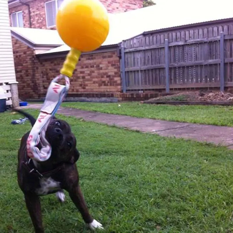 Aussie Dog Home Alone Extra Large Tough Chew Interactive Dog Toy