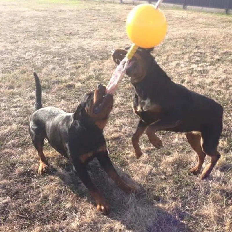 Aussie Dog Home Alone Extra Large Tough Chew Interactive Dog Toy