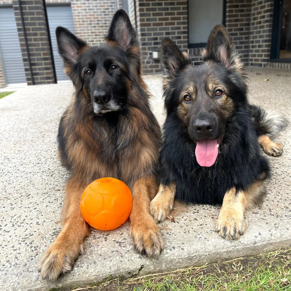 Large Buddy Ball: Durable Treat Dispensing Dog Toy for Engaging Play