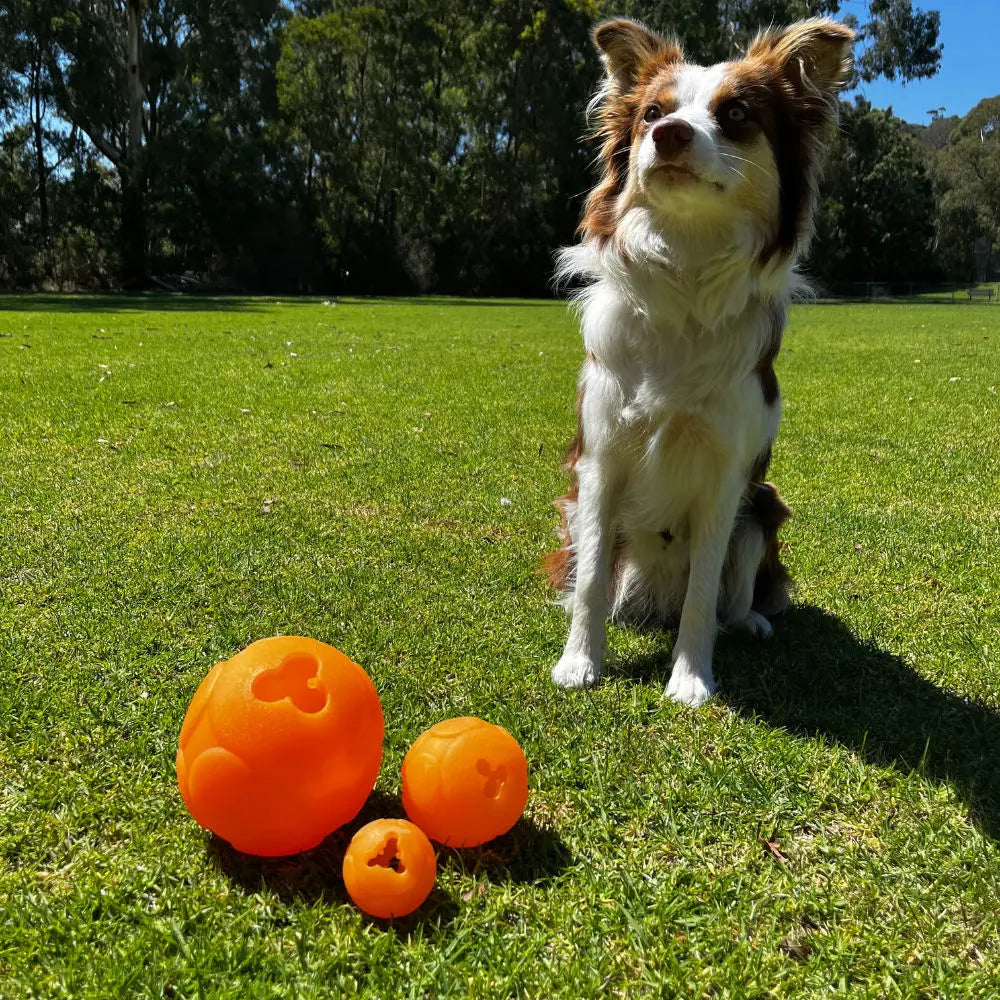 Large Buddy Ball: Durable Treat Dispensing Dog Toy for Engaging Play