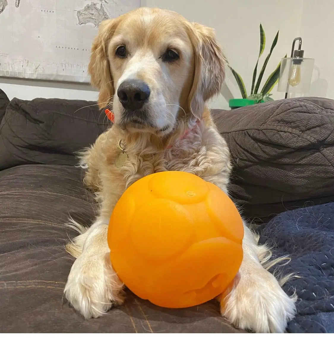 Large Buddy Ball: Durable Treat Dispensing Dog Toy for Engaging Play