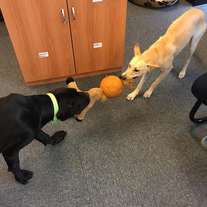 Large Buddy Ball: Durable Treat Dispensing Dog Toy for Engaging Play