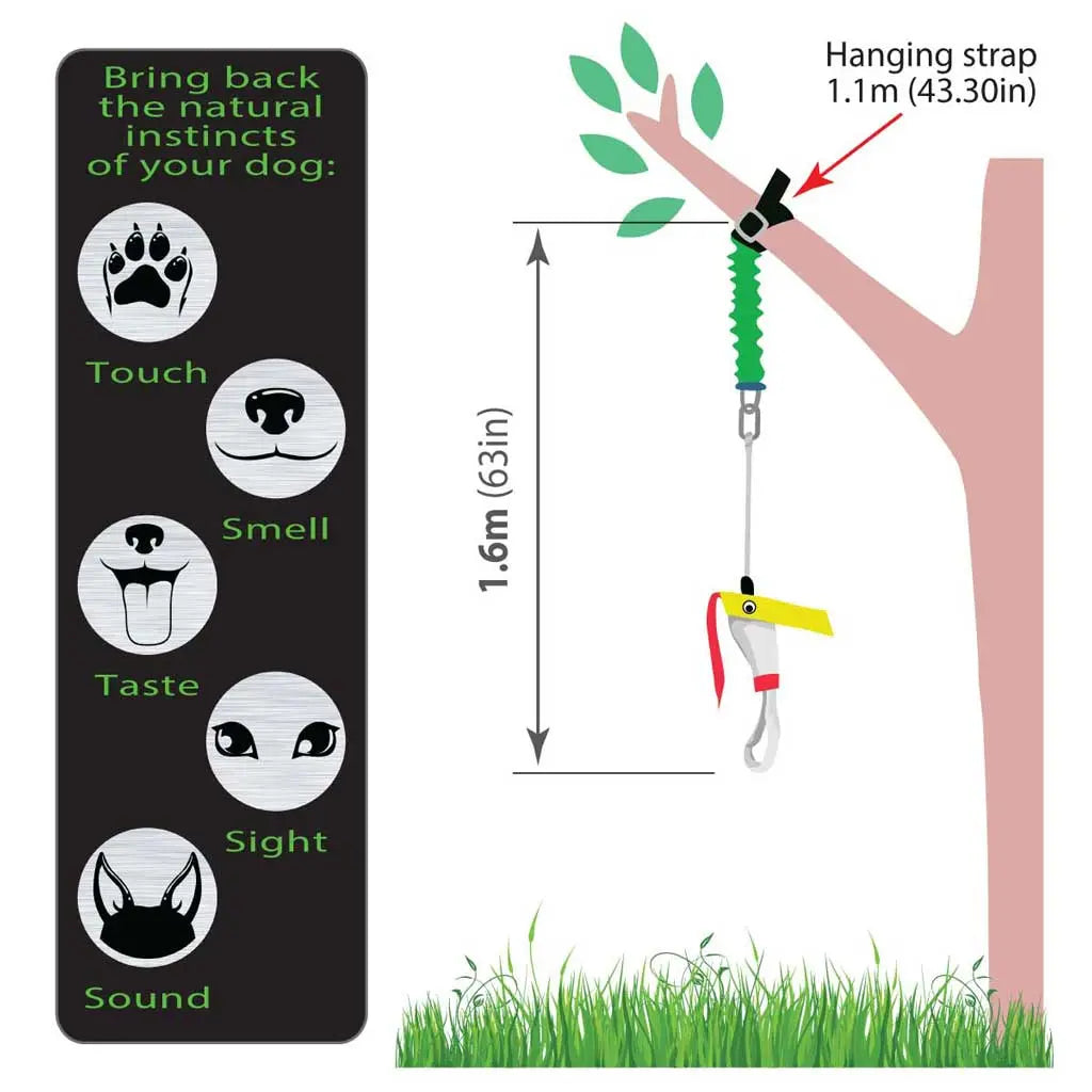 Aussie Dog Bungee Chook Standard: Durable Tug Toy for Energetic Dogs