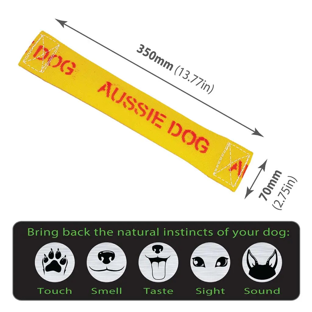 Ultimate Chew-Resistant Large Dog Toy: Durable, Safe, and Engaging Fetch Fun