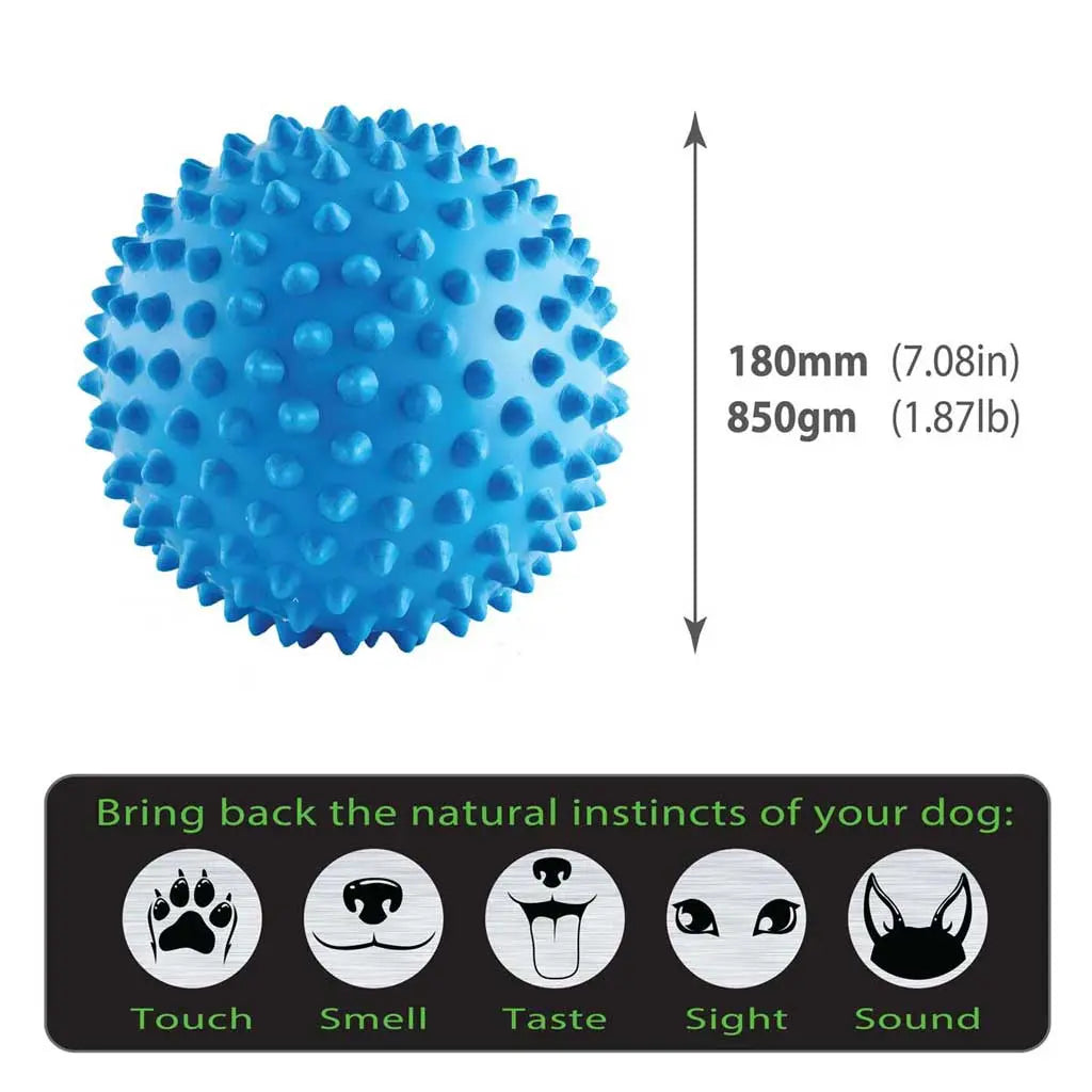Aussie Dog Indestructible Large Blue Mitch Ball for Powerful Chewers
