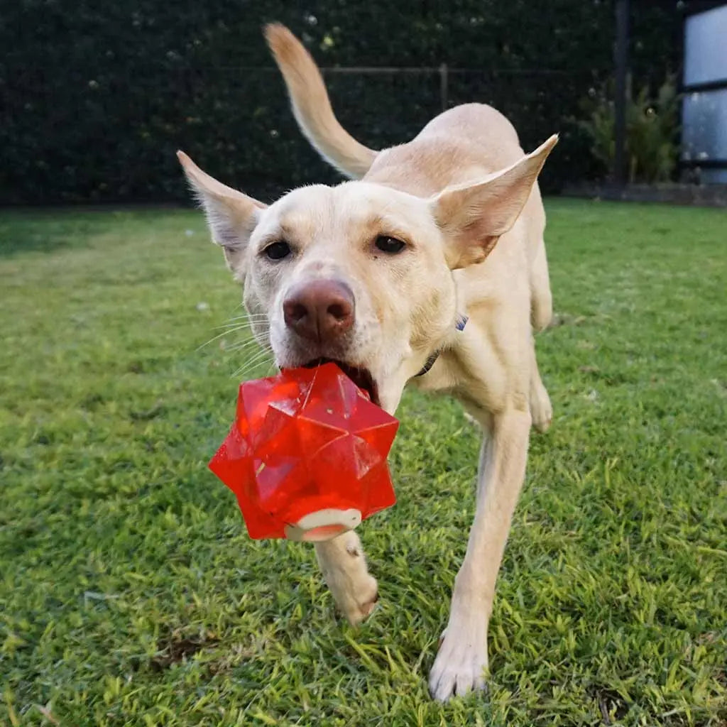 Aussie Dog Monster Treat Ball: Durable Red Rubber Enrichment Toy for Dogs