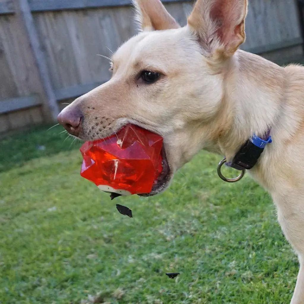Aussie Dog Monster Treat Ball: Durable Red Rubber Enrichment Toy for Dogs