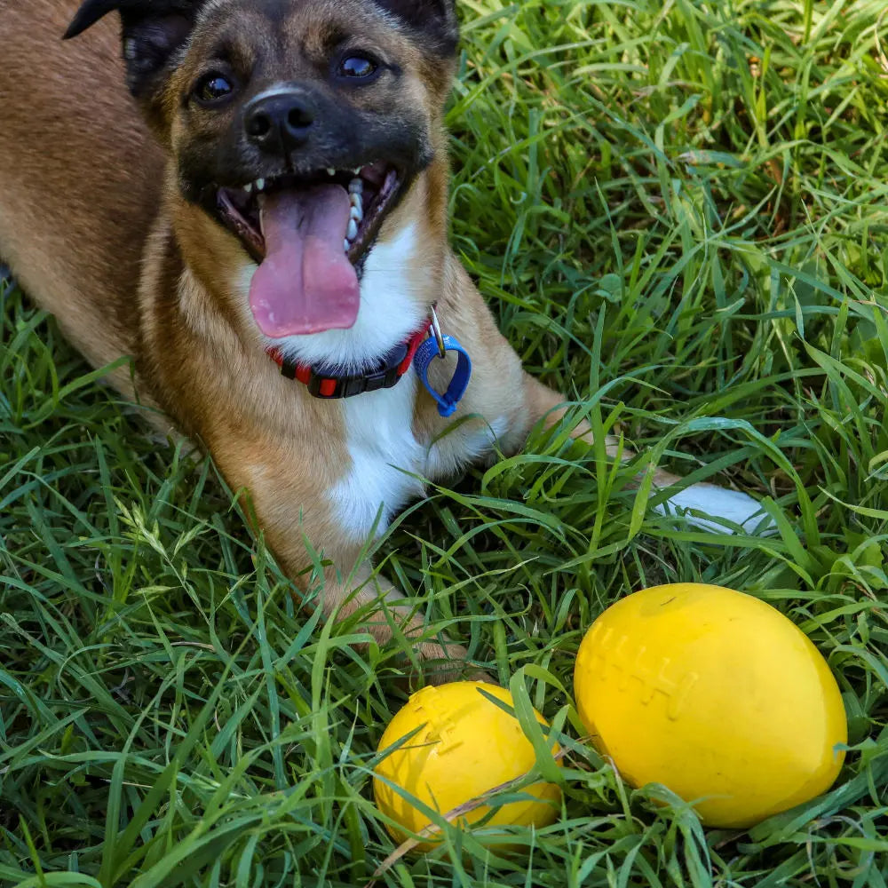 Indestructible Aussie Dog Dura Ball - Chew Proof, Lifetime Warranty, Fetch Toy