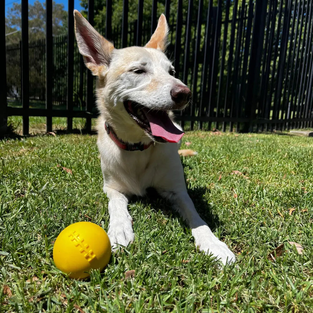 Indestructible Aussie Dog Dura Ball - Chew Proof, Lifetime Warranty, Fetch Toy