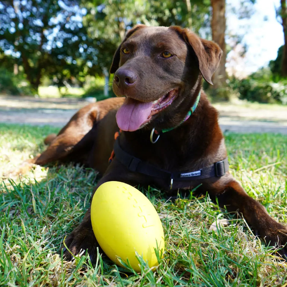 Aussie Dog Dura Footy: Ultra-Durable Rubber Dog Toy for Fetch & Play